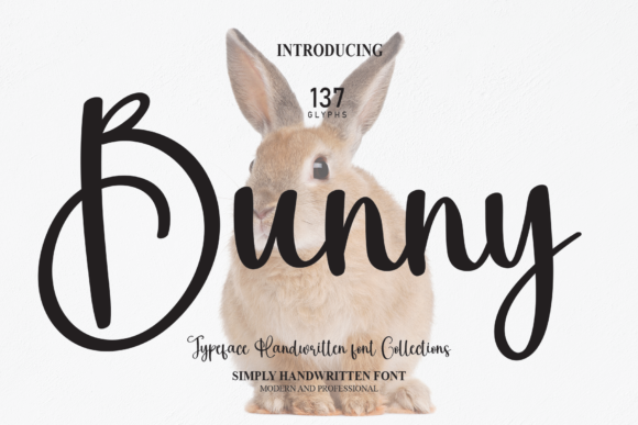 Bee Book Font for Creative Campaigns