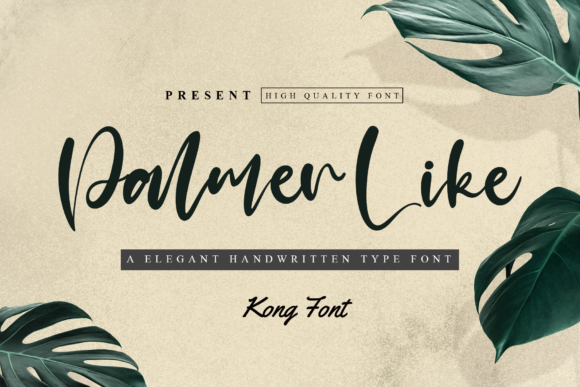 Palmer Like Font for Web Design